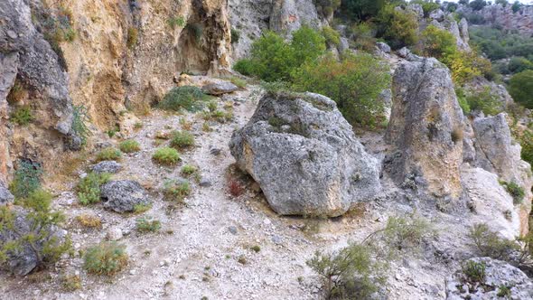 Rocks and Green Trees on Mountain Slope alt