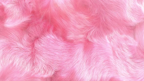 Faux Fur Baby Pink Background 4K