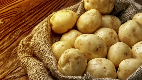 Harvest Potatoes in Burlap Sack on Rustic Background alt