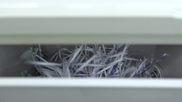 Cut Paper Falls Into the Container alt