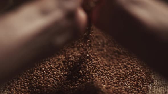 A Male Hands Pick Up a Handful of Buckwheat Grains and Raise Their Palms Up in Slow Motion alt