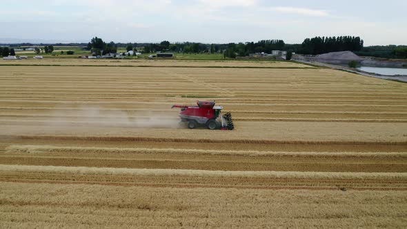 Wheat Fields