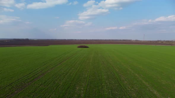 Aerial view around green field and cultivated land