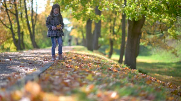 Cute little girl walks along a beautiful autumn alley in the park