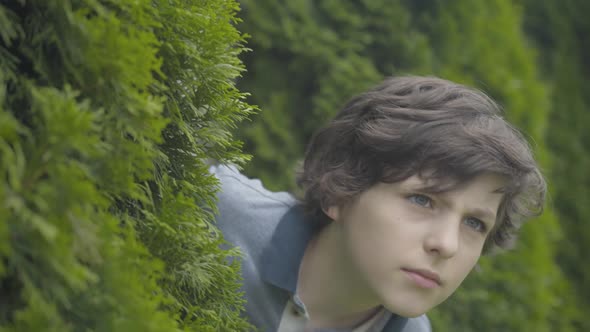 Close-up of Funny Brunette Boy with Grey Eyes Looking Out Bushes and Hiding. Portrait of Cheerful alt