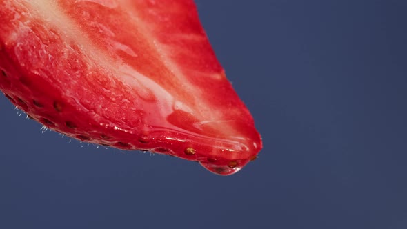 Red Strawberry Half Isolated on Blue Background Juicy Ripe Berry Closeup Sweet Fresh Fruits alt