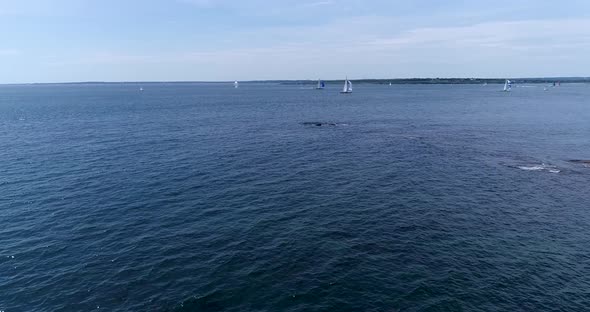 Sailboats entering and leaving Mt. Hope Bay in Newport Rhode Island as well as returning from Block alt