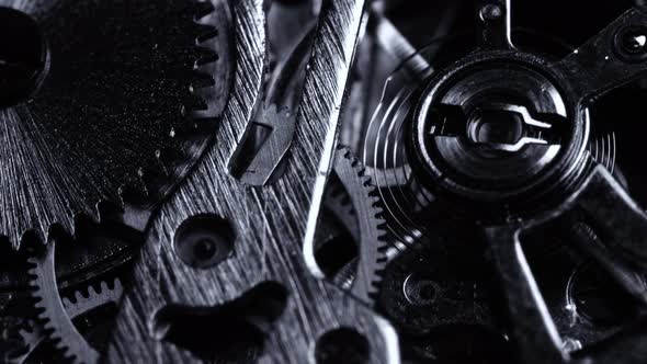 Black and White Vintage Close View of Watch Mechanism alt