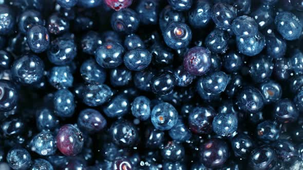 Super Slow Motion Shot of Flying and Rotating Fresh Blueberries and Water at 1000Fps alt