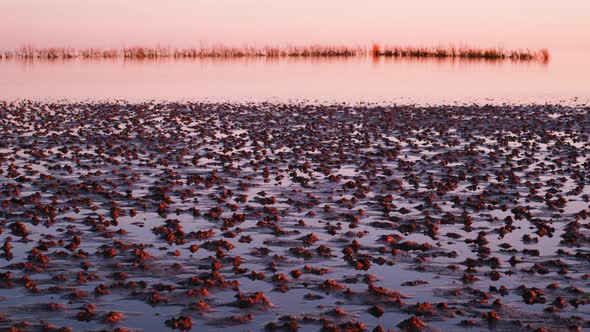flood waters coming in alt