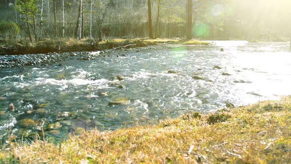 Dolly Slider Shot of the Splashing Water in a Mountain River Near Forest alt