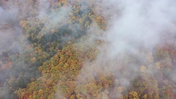 Aerial Images Through Clouds Over The Forest In Autumn alt