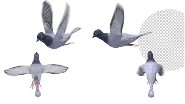 Flying Pigeons (4-Pack)