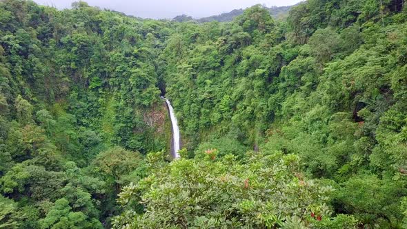 Flying through the Costa Rica rainforest with La Fortuna Waterfall in background alt