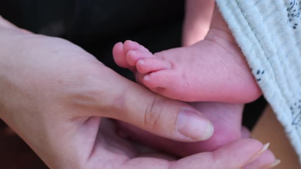 A woman's hand holds the little legs of a newborn baby. Caring and nurturing a newborn baby.