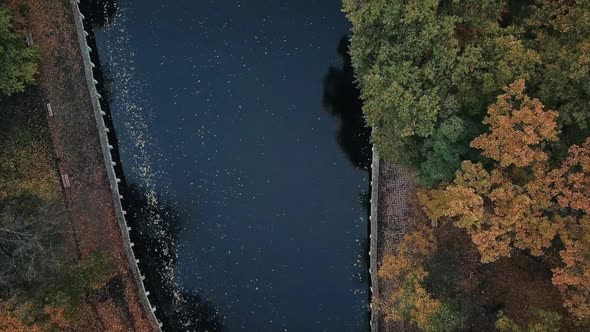 Flying Over the Park in Autumn Colorful Treetops