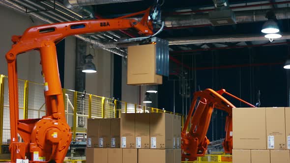 Robots Loaders Work In A Warehouse