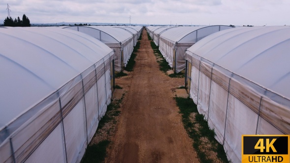 Aerial Of Huge Greenhouse Complex