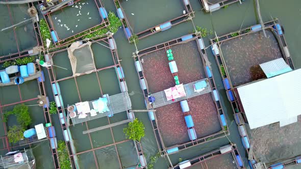 Mekong River Fish Farming Top View