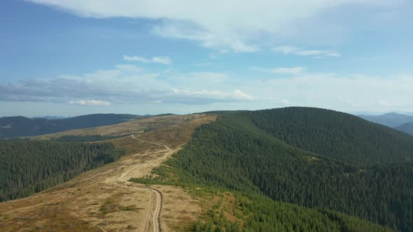 Stunning Mountain Road Landscape with Green Sequoia Trees Growing Against Sky alt