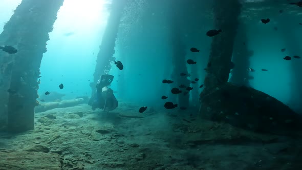 A Scuba Diver Exploring an Underside Pier Underwater Full of Corals and Tropical Fish