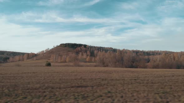 Forest With Autumn Colour alt