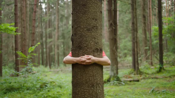 A man with strong hands hugs a tree trunk, nature conservation, environmental protection alt