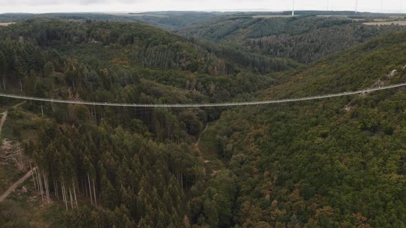 suspension bridge located in germany