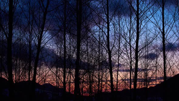 silulets of trees with a moving background, clouds in motion, nice colors after sunset alt