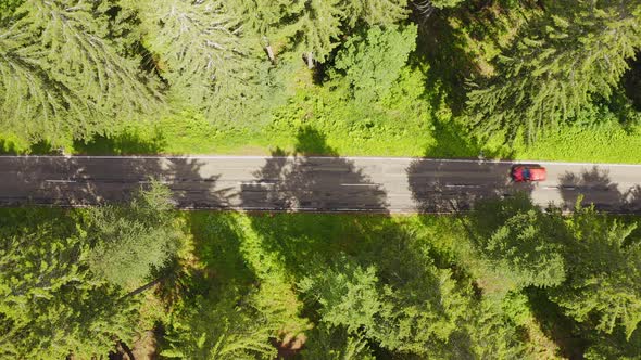 Top Down Aerial View Flying Over Forest Road with Car alt