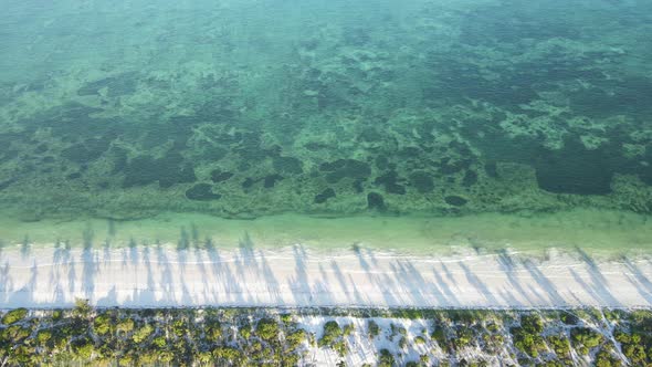 Beach on Zanzibar Island Tanzania Slow Motion alt