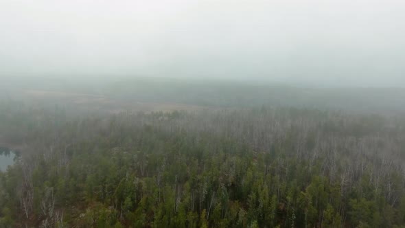 Aerial footage of autumn forest in heavy fog in Manitoba, Canada alt
