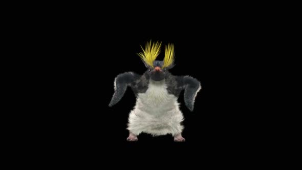 Penguin Dancing HD alt