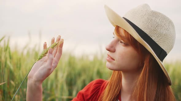 Close Up of Romantic Redhead Girl Touching Wheat Ears and Standing in Field at Sunny Day in Village