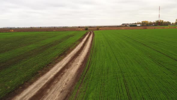 FPV Drone Flying Over a Dirt Road in the Middle of a Farm Field with Young Shoots of Winter Crops alt