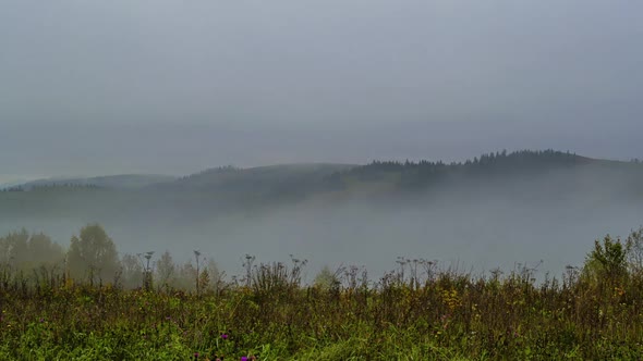 Thick Mist in the Autumn Valley