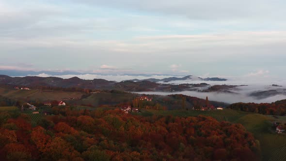 Cinematic Aerial of Colorful Autumn Hills in South Styria Over Wine Road From Eckberg Wine Route.