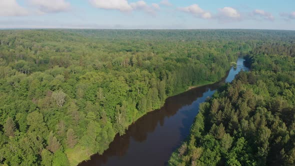 Landscape of Green Nature - the River Stretches Between the Coniferous Forest alt