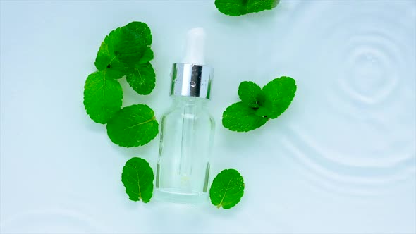 Cosmetics Mint in a Bottle on a Water Background alt