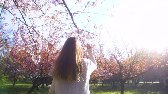 Girl walking in Japanese Garden with blooming trees. Young woman with long hair enjoys spring alt