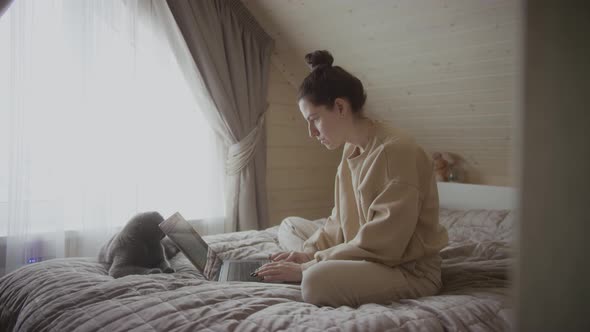 Concentrated woman works on laptop alt