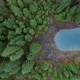 Aerial Drone Footage Flying Over the Surface of Still Water Towards a Native Scots Pine Forest - VideoHive Item for Sale