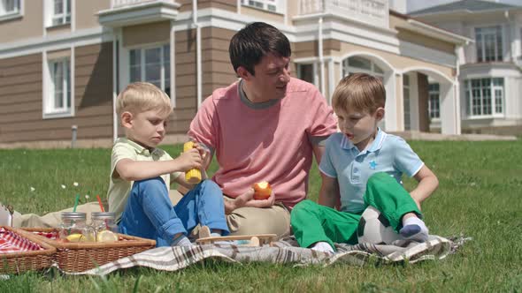Cute Boys on Summer Picnic with Parent alt