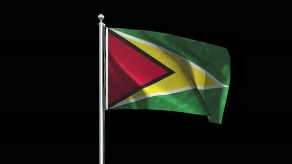 Guyana Flag Big