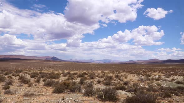 The Grasslands of the Great Karoo alt