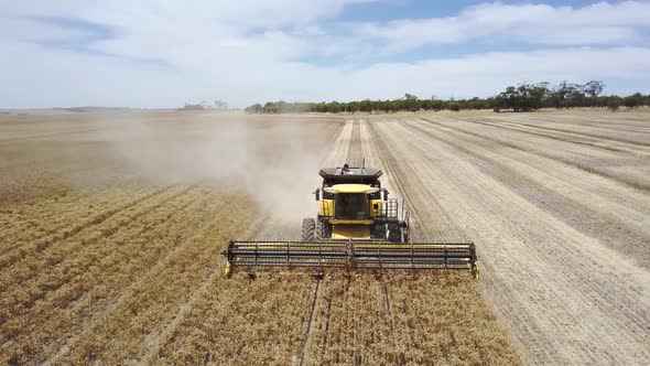 Combine harvesting corn and trailing a plume of dust - aerial front view alt