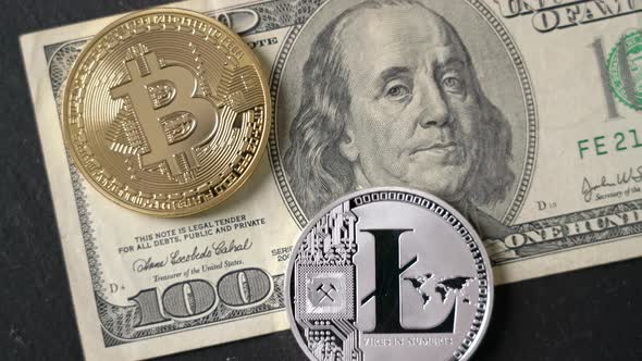 Bitcoin Litecoin Cryptocurrency Equivalent To Dollar a Banknote of Hundred Units alt