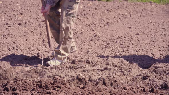 Farmer digs ground with Spading fork in garden. Ecological vegetable growing alt