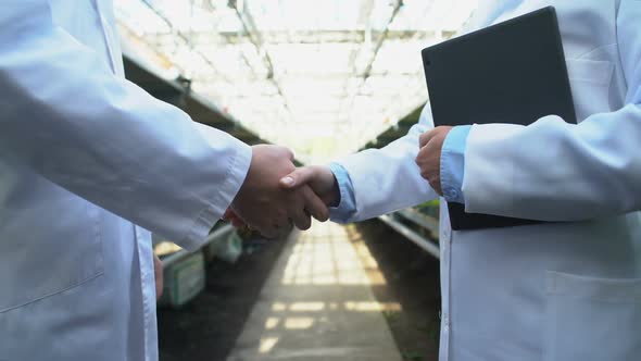 Handshake of Scientists on Greenhouse Background, Farming Research Teamwork