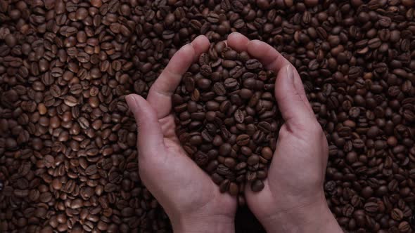 farmer's hand inspects freshly roasted coffee beans